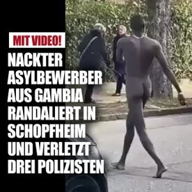 Die neuen Mitbürger in Aktion Die neuen Mitbürger in Aktion